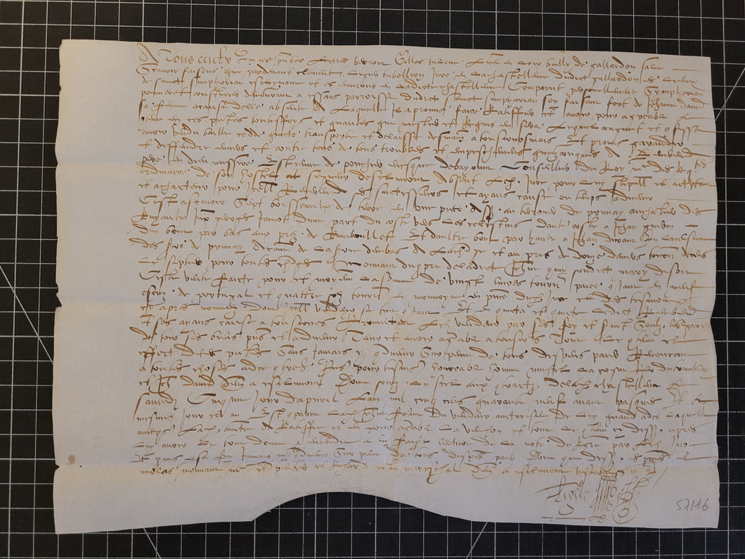 Renaissance Charter. Manuscript on Parchment, 1549