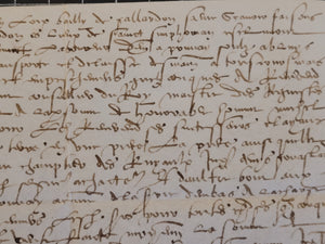 Renaissance Charter. Manuscript on Parchment, 1550