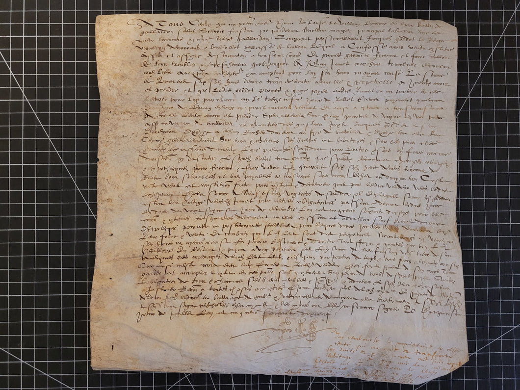 Renaissance Charter. Manuscript on Parchment, 1582