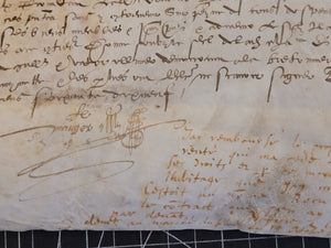Renaissance Charter. Manuscript on Parchment, 1582
