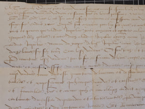 Renaissance Charter. Manuscript on Parchment, 1519