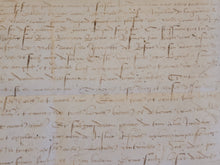 Load image into Gallery viewer, Renaissance Charter. Manuscript on Parchment, 1519