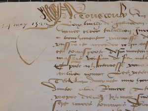 Renaissance Charter. Manuscript on Parchment, May 14 1522