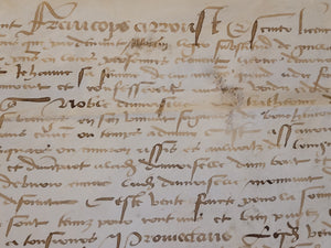 Renaissance Charter. Manuscript on Parchment, May 14 1522