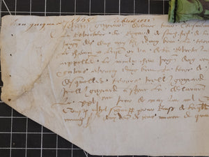 Renaissance Charter. Manuscript on Parchment, 1558
