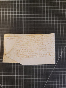 Renaissance Charter. Manuscript on Parchment, 1558
