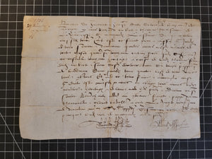 Renaissance Charter. Manuscript on Parchment, 1536