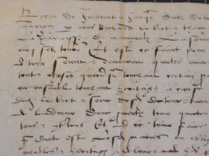 Renaissance Charter. Manuscript on Parchment, 1536