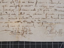 Load image into Gallery viewer, Renaissance Charter. Manuscript on Parchment, 1536