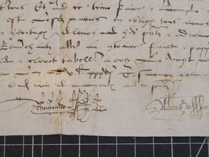 Renaissance Charter. Manuscript on Parchment, 1536