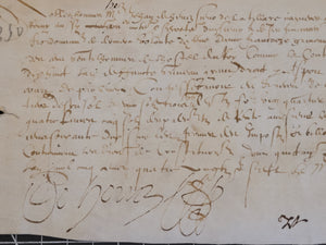 Renaissance Charter. Manuscript on Parchment, May 27 1587