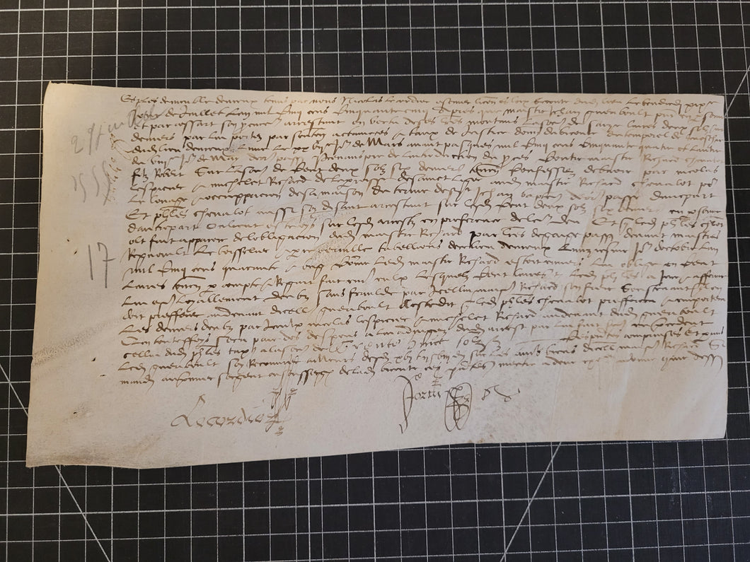 Renaissance Charter. Manuscript on Parchment, June 27 1555