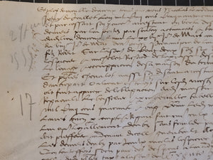 Renaissance Charter. Manuscript on Parchment, June 27 1555