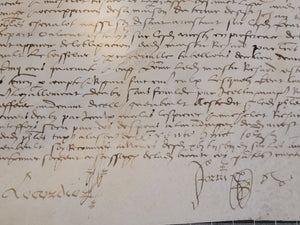 Renaissance Charter. Manuscript on Parchment, June 27 1555