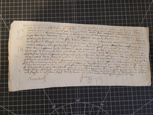 Renaissance Charter. Manuscript on Parchment, June 7 1555