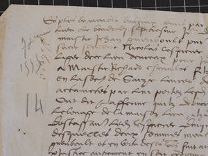 Renaissance Charter. Manuscript on Parchment, June 7 1555
