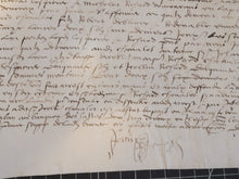 Load image into Gallery viewer, Renaissance Charter. Manuscript on Parchment, June 7 1555