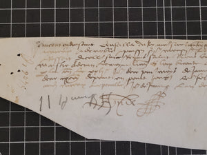 Renaissance Charter. Manuscript on Parchment, June 11 1555