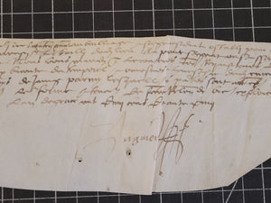 Renaissance Charter. Manuscript on Parchment, June 11 1555