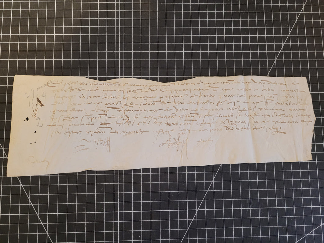 Renaissance Charter. Manuscript on Parchment, March 27 1554