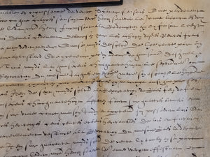 Renaissance Charter. Manuscript on Parchment, May 4 1582