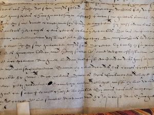 Renaissance Charter. Manuscript on Parchment, May 4 1582