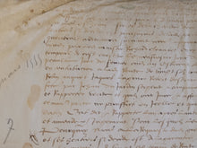 Load image into Gallery viewer, Renaissance Charter. Manuscript on Parchment, March 1555