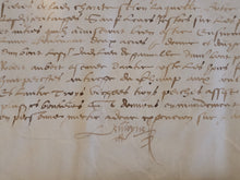 Load image into Gallery viewer, Renaissance Charter. Manuscript on Parchment, March 1555