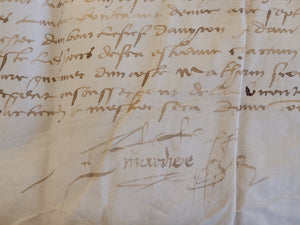 Renaissance Charter. Manuscript on Parchment, March 1555
