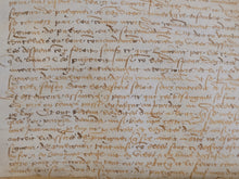 Load image into Gallery viewer, Renaissance Charter. Manuscript on Parchment, 1561