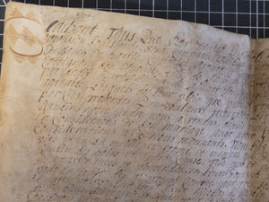 Renaissance Charter. Manuscript on Parchment for Philippe de (?), Squire. May 8 1584