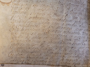 Renaissance Charter. Manuscript on Parchment for Philippe de (?), Squire. May 8 1584