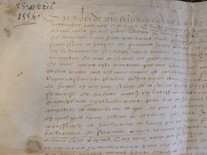 Renaissance Charter. Transaction for Claude Perrenir(?). Manuscript on Parchment, April 25 1554