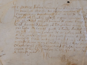 Renaissance Charter. Manuscript on Parchment, 1598