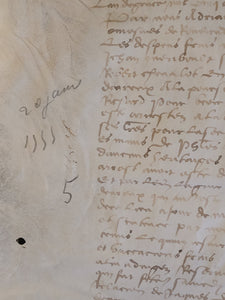 Renaissance Charter. Manuscript on Parchment, January 20 1555