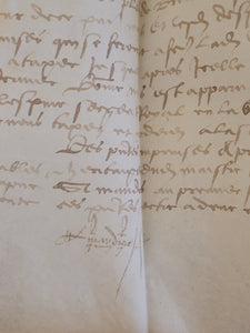 Renaissance Charter. Manuscript on Parchment, January 20 1555