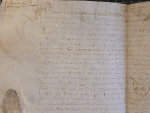 Renaissance Charter. Manuscript on Parchment, January 11 1561