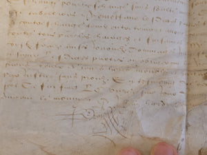 Renaissance Charter. Manuscript on Parchment, January 11 1561