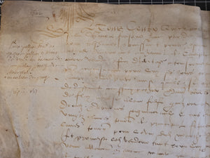 Renaissance Charter. Manuscript on Parchment, 1562
