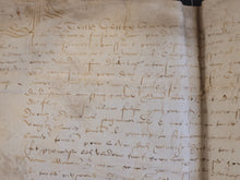 Load image into Gallery viewer, Renaissance Charter. Manuscript on Parchment, 1562