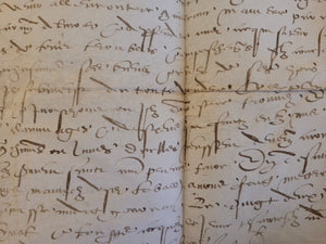 Renaissance Charter. Manuscript on Parchment, June 22 1557