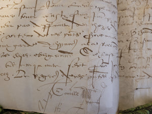 Renaissance Charter. Manuscript on Parchment, June 22 1557