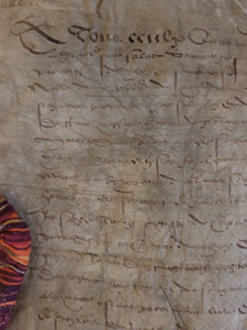 Renaissance Charter. Manuscript on Parchment, 1566