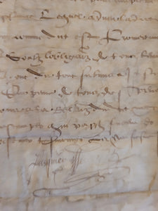 Renaissance Charter. Manuscript on Parchment, 1566