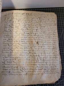 Renaissance Charter for one Viscount. Manuscript on Parchment, February 17 1552