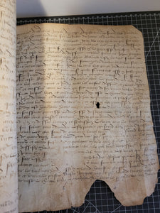Renaissance Charter for one Viscount. Manuscript on Parchment, February 17 1552