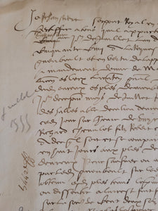 Renaissance Manuscript on Paper, July 30 1555