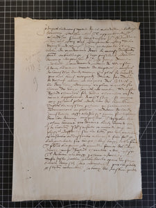 Renaissance Manuscript on Paper, May 29 1555