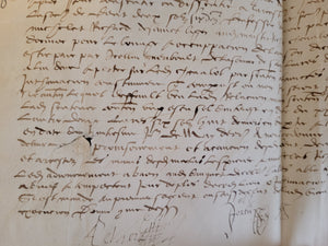 Renaissance Charter. Manuscript on Parchment, July 1 1555