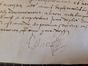 Renaissance Charter. Manuscript on Parchment, July 1 1555